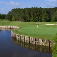 Golf green beside water hazard and trees